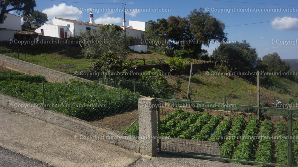 Wohnhaus mit Nutzgarten am Rande von Ameixial, Serra do Caldeirão, Algarve | Wohnhaus mit Nutzgarten am Rande von Ameixial, Serra do Caldeirão, Algarve - Realisiert mit Pictrs.com