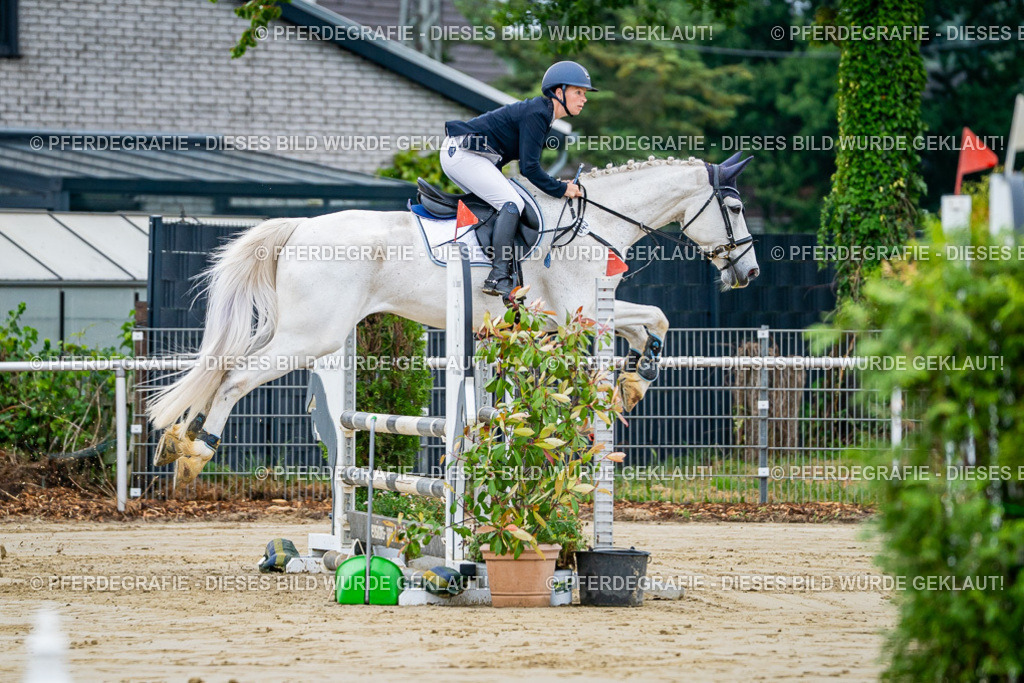 DSC01832 | Pferdegrafie