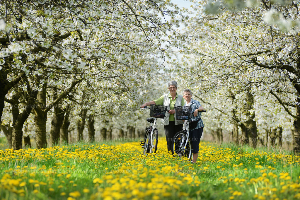 Kirschblüte_ELS_0925a | Fotos aus den Touristenorten aus Norddeutschland. - Realisiert mit Pictrs.com