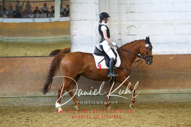 DKP44543 | Turniersportfotografie; Pferdefotografie; Dressurfotografie