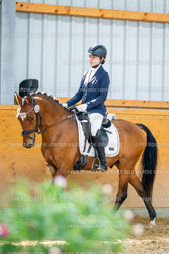 DSC08759 | Pferdegrafie