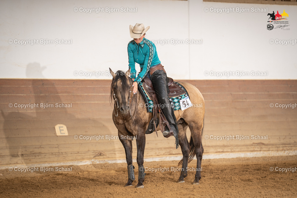 LMS06092 | BS-foto