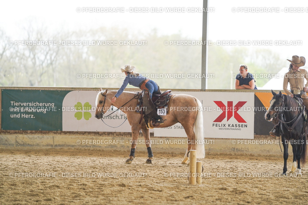 DSC05666 | Pferdegrafie