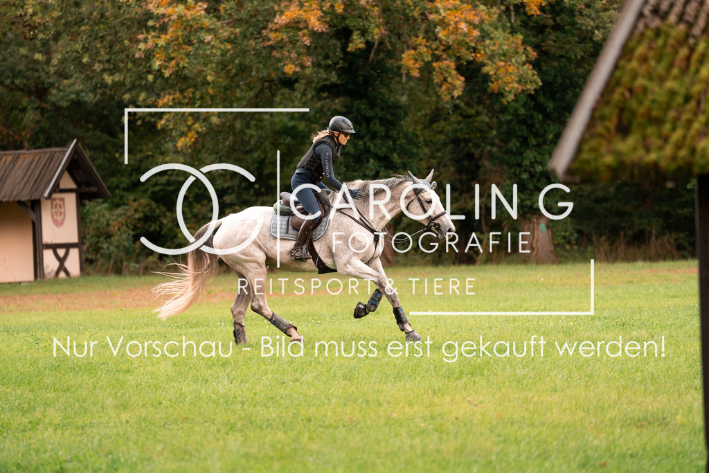 DSC07356 | Turnierfotografin Carolin Gieschke, Turnierfotografie Carolin G Fotografie, Turnierfotos Kirchheim/Teck, Esslingen, Stuttgart, Bodenseekreis
