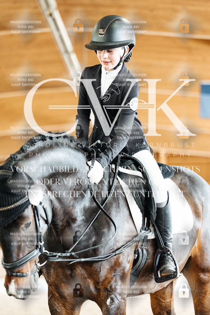 CK901359 | Turnierfotografie Pferdefotografie Trier Rheinland-Pfalz Pferdesport Reitsport Tierfotografie Sportfotografie Pferdevideo Pferdevideografie Equestrianvideography equestrianphotography  - Realisiert mit Pictrs.com