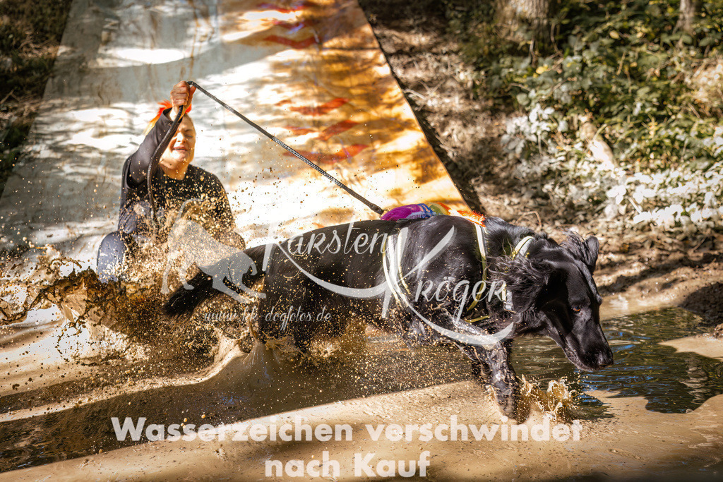 1346_ZZ92319 | kk-dogfotos