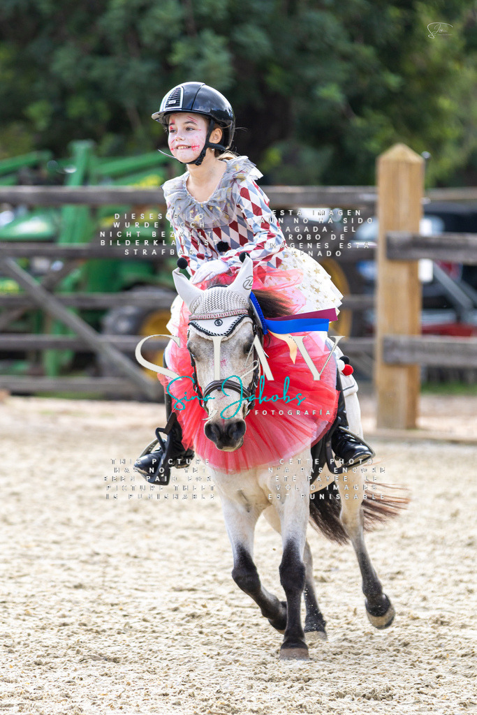 IMG_2431 | s-jay-photography - Realisiert mit Pictrs.com