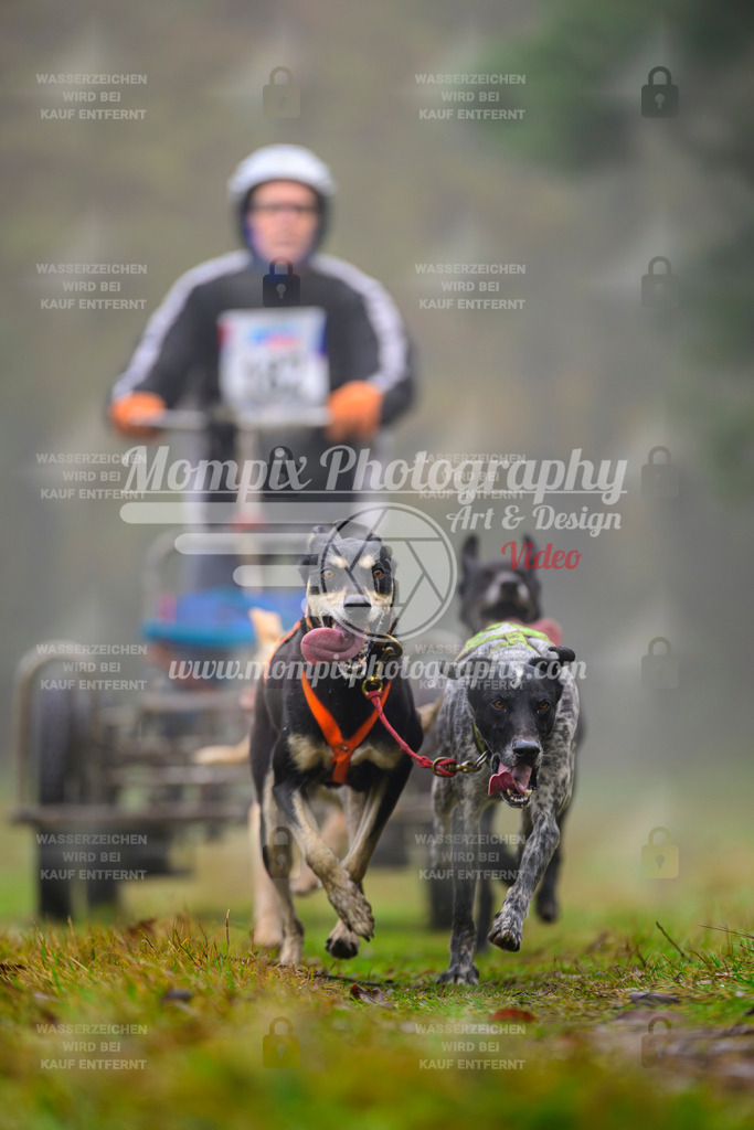 MompixPhotography_Bischwiller2025_Kart-23 | mompixphotography