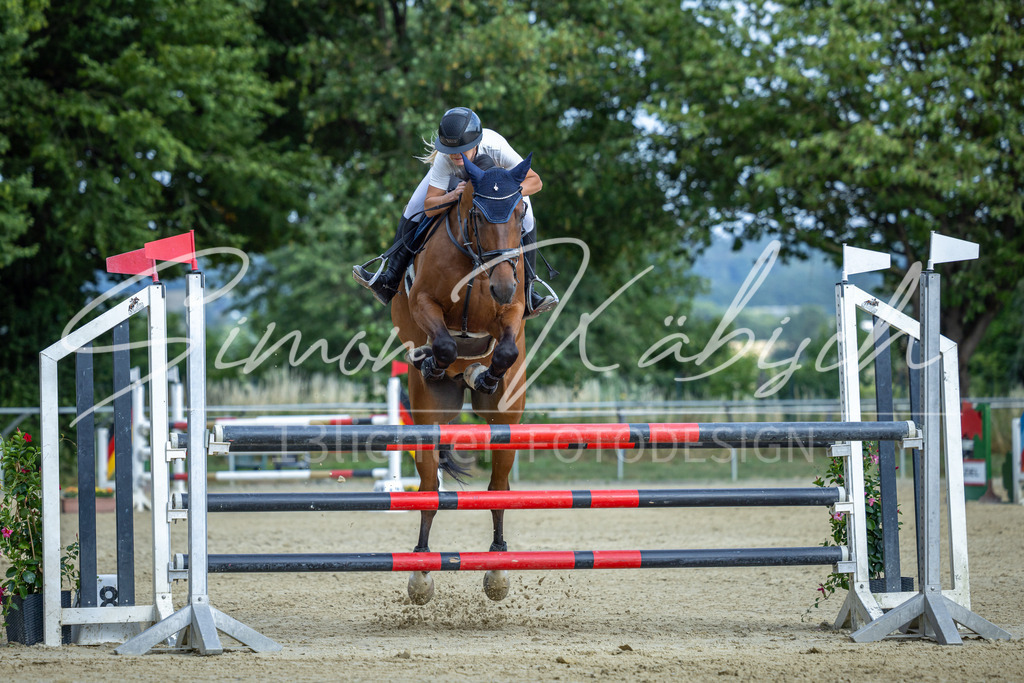 20260704-_3LI2152 | Tierfotografie Pferde, Hunde, Katzen, Haustiere.
Turnierfotografie Reitturniere, Reiten, Springreiten, Dressur in Hanau, dem Main-Kinzig-Kreis und dem Rhein-Main- Gebiet um Frankfurt