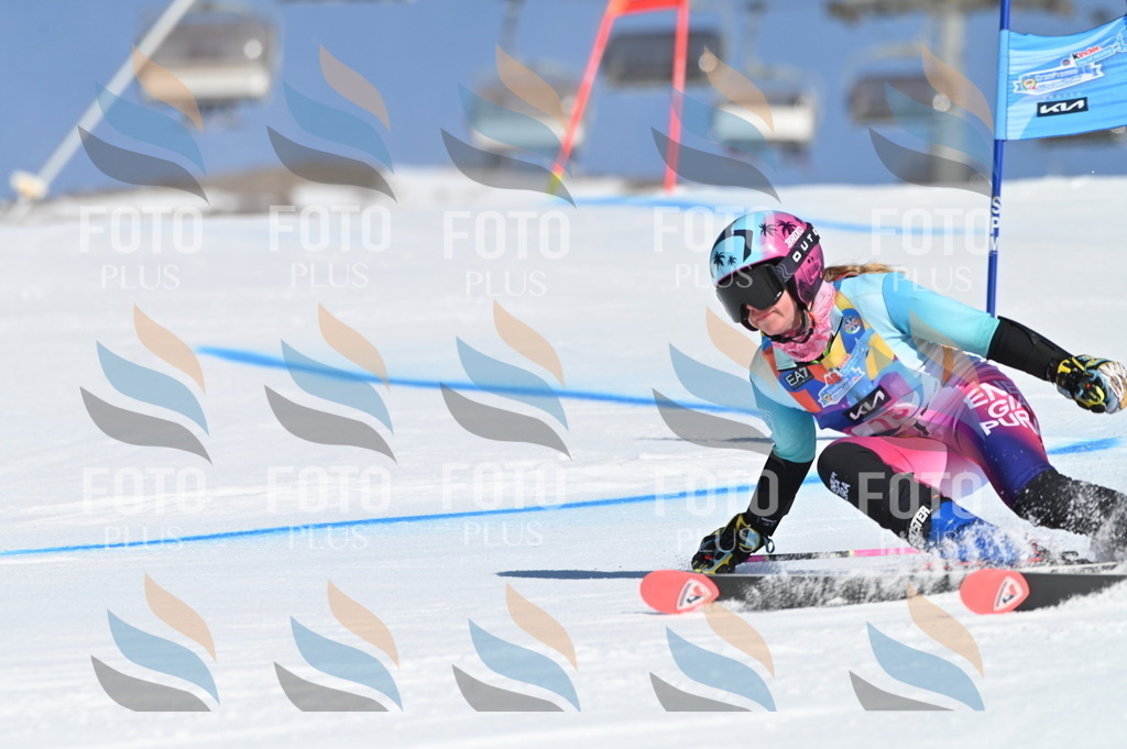 BGV_7858 | holidayphoto