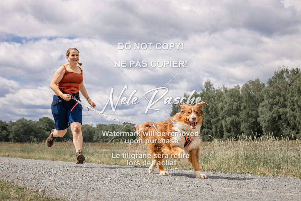 nelerasche_BuHu2026_SaCC1100-1200_203 | nelerasche