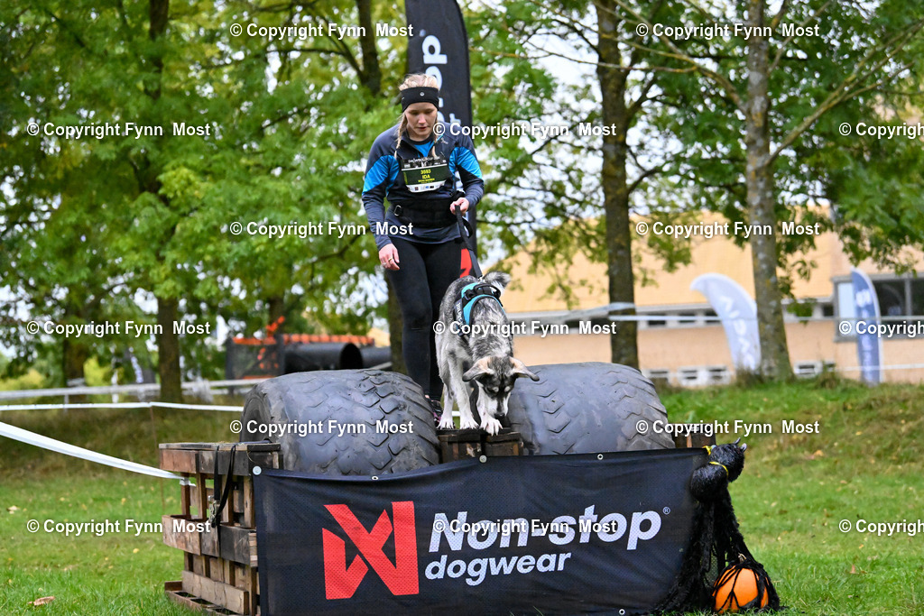 DSC_2710 | Hallo und herzlich Willkommen auf meiner Shop-Seite Fynn Most.

Ich wünsche Dir viel Spaß beim stöbern durch die Bilder, wenn Du Fragen hast oder Bilder vermisst, kannst du mir gerne eine Nachricht schreiben. - Realized with Pictrs.com