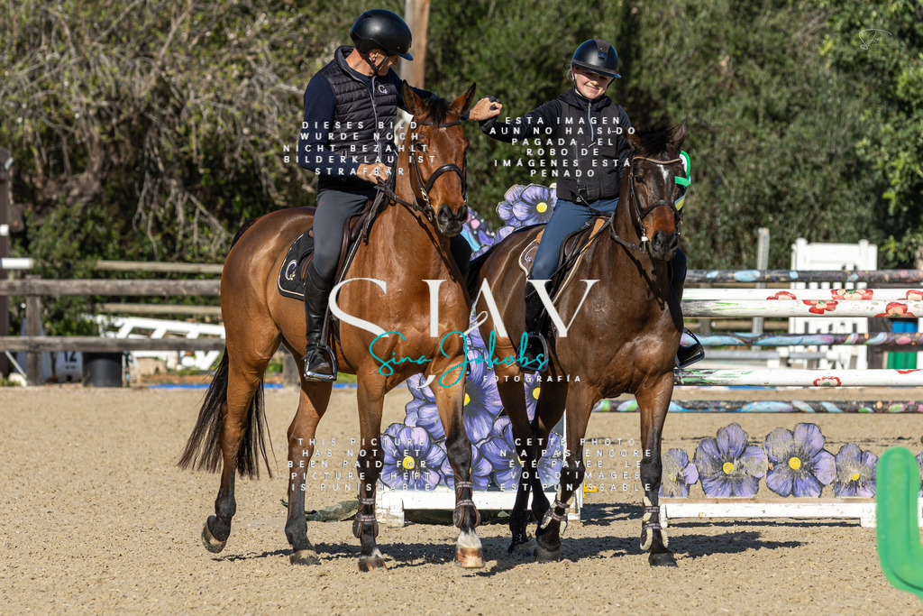 IMG_6995 | s-jay-photography - Realisiert mit Pictrs.com