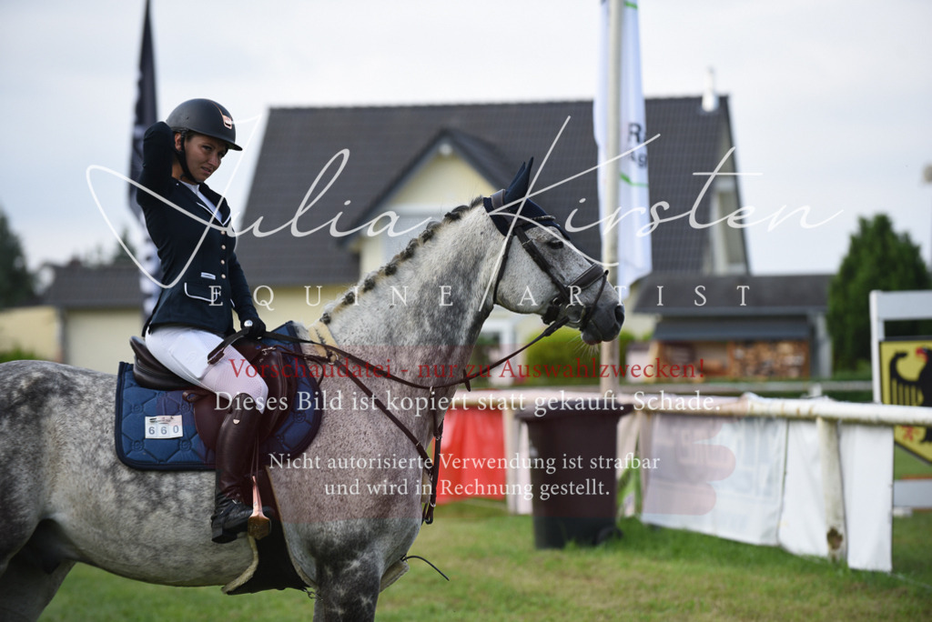 DSC_8590 | Pferde- und Turnierfotografie in Westsachsen. Pferdeportraits, Auftragszeichnungen und intuitive Kunst.