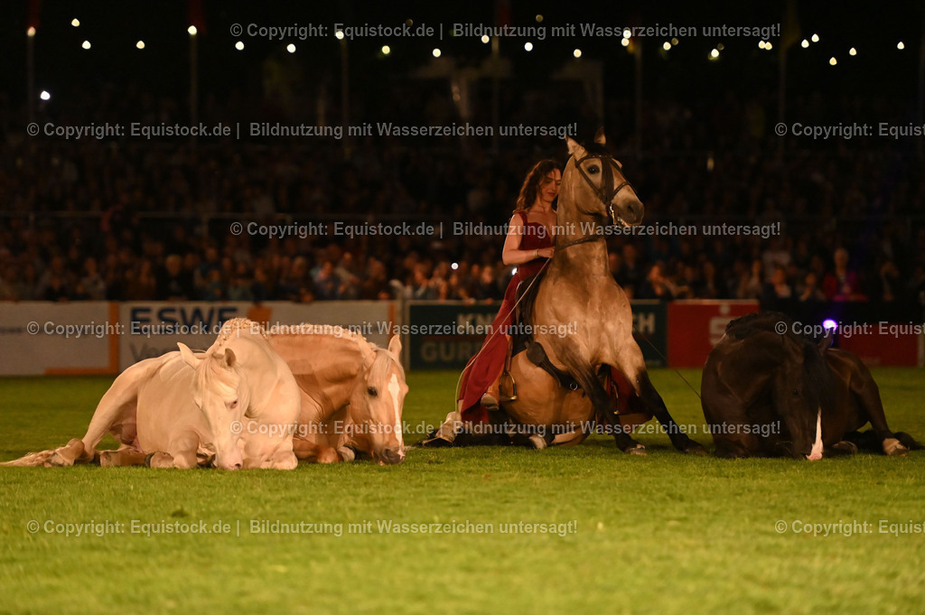 20230526_Pferdenacht_1537 | equistock