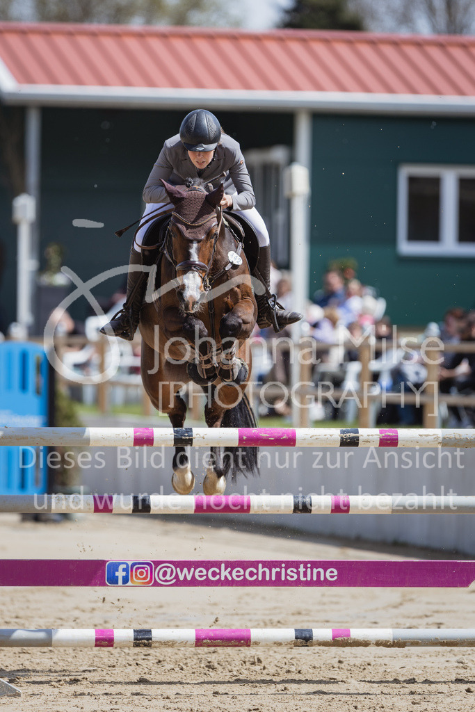 230501_SpengeW_M2St-239 | Deine schönsten Turniermomente als professionelle Fotos! Entdecke hochwertige Pferdesport-Fotografie im Online-Shop. Jetzt Fotos finden & bestellen!