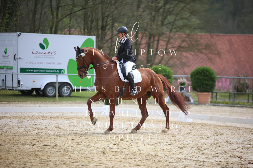 IMGT5214 | pl-fotografie