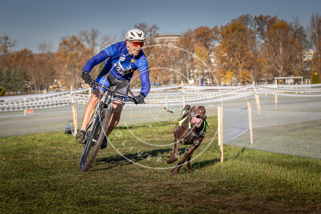 CaniXpix_0L8A4639 | Hundefotografie, Tierfotograf, Pfotenfotografie, Fotoshooting Hund, Hunde Portrait, Hundesport, Hundeportraits, Heideshooting, Hunde, Sportfotograf, Hundefotograf, Turnierhundsport, THS,  - Realisiert mit Pictrs.com
