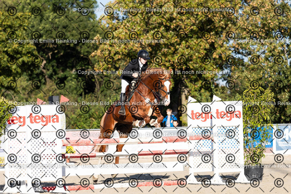 CL5A4402 | Emilia Reinking Fotografie - Realisiert mit Pictrs.com