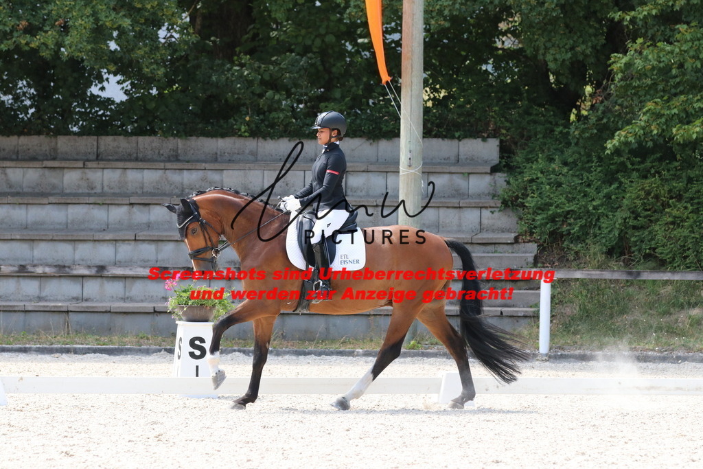 IMG_5024 | lmwpictures - Realisiert mit Pictrs.com