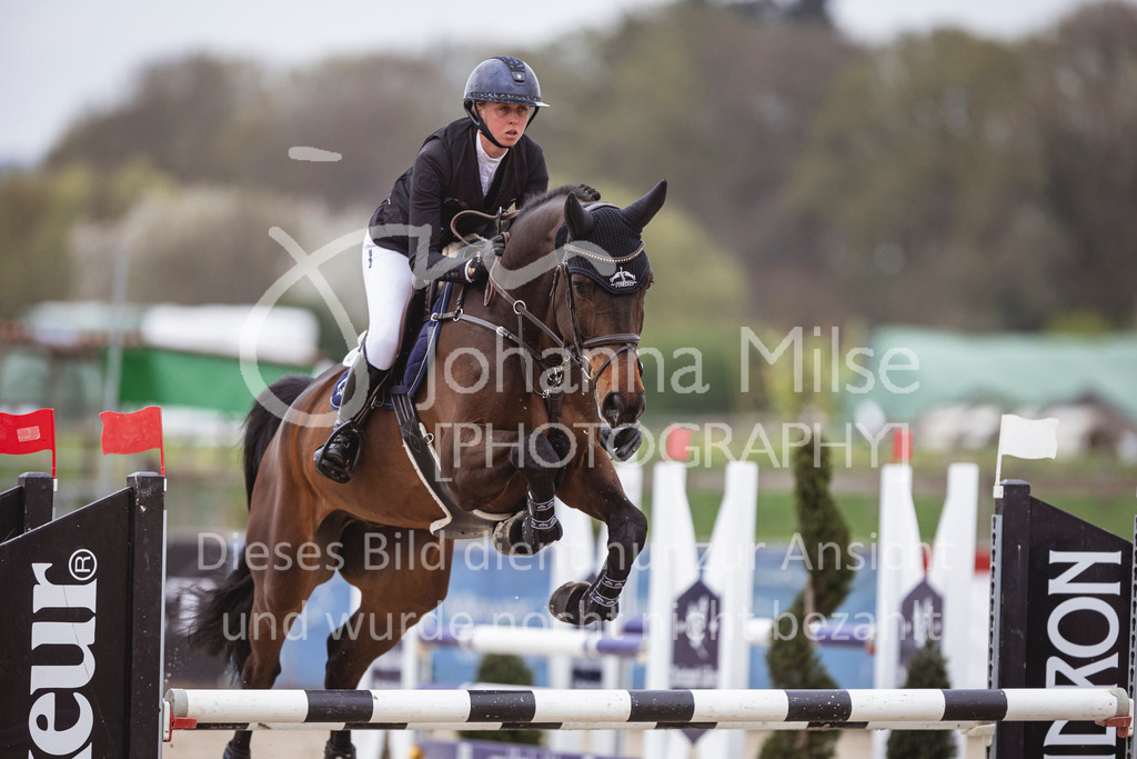 250417_Springpferde-L1-282 | Deine schönsten Turniermomente als professionelle Fotos! Entdecke hochwertige Pferdesport-Fotografie im Online-Shop. Jetzt Fotos finden & bestellen!