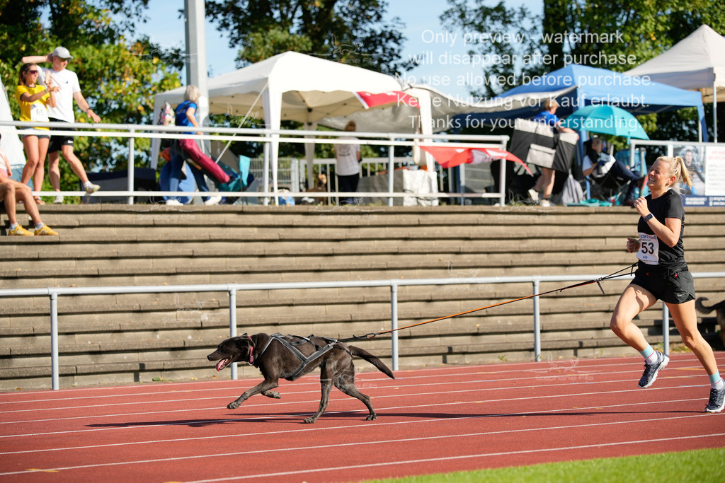 Sonntag_Staffel (241 von 336) | stephaniefillaphotographie - Realisiert mit Pictrs.com