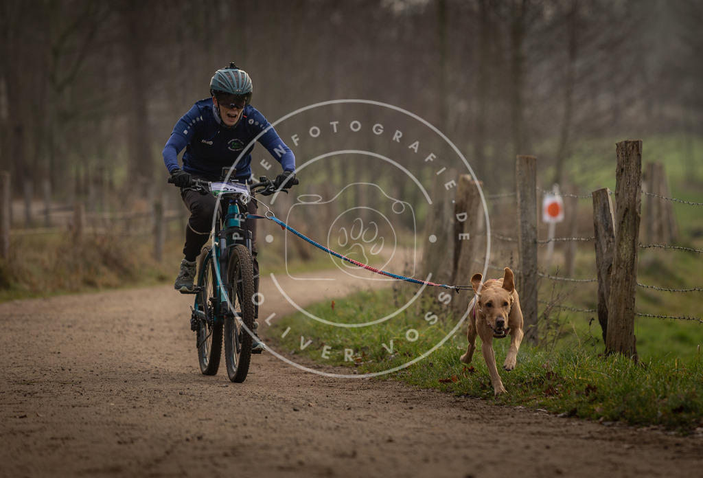 Pfotenfotografie_DV3A1962 | Hundefotografie, Tierfotograf, Pfotenfotografie, Fotoshooting Hund, Hunde Portrait, Hundesport, Hundeportraits, Heideshooting, Hunde, Sportfotograf, Hundefotograf, Turnierhundsport, THS,  - Realisiert mit Pictrs.com