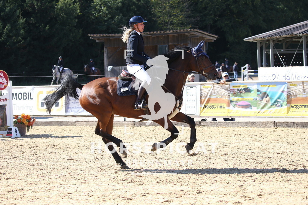 DL2Q2773 | Willkommen bei Brunnmayr - Design & Fotografie – Ihrem Spezialisten für Reitturniere und Pferdeveranstaltungen in Oberösterreich, Salzburg und Bayern! Seit über 17 Jahren sind wir leidenschaftlich dabei.