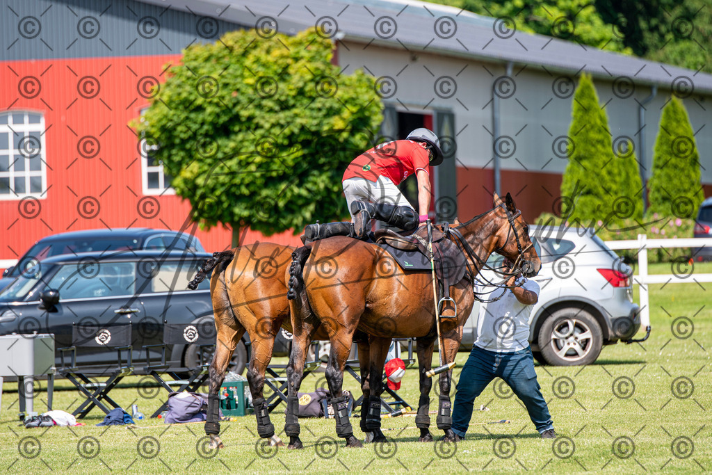 POL_2345 | andre_photographic