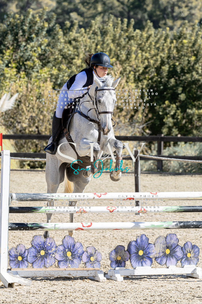 IMG_0260 | s-jay-photography - Realisiert mit Pictrs.com