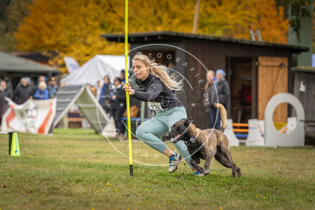 Pfotenfotografie_DV3A3193 | Hundefotografie, Tierfotograf, Pfotenfotografie, Fotoshooting Hund, Hunde Portrait, Hundesport, Hundeportraits, Heideshooting, Hunde, Sportfotograf, Hundefotograf, Turnierhundsport, THS,  - Realisiert mit Pictrs.com