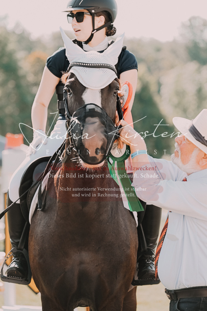 DSC_4924 | Pferde- und Turnierfotografie in Westsachsen. Pferdeportraits, Auftragszeichnungen und intuitive Kunst.