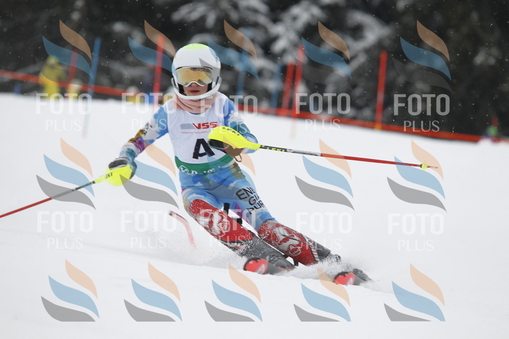 A1426 | holidayphoto