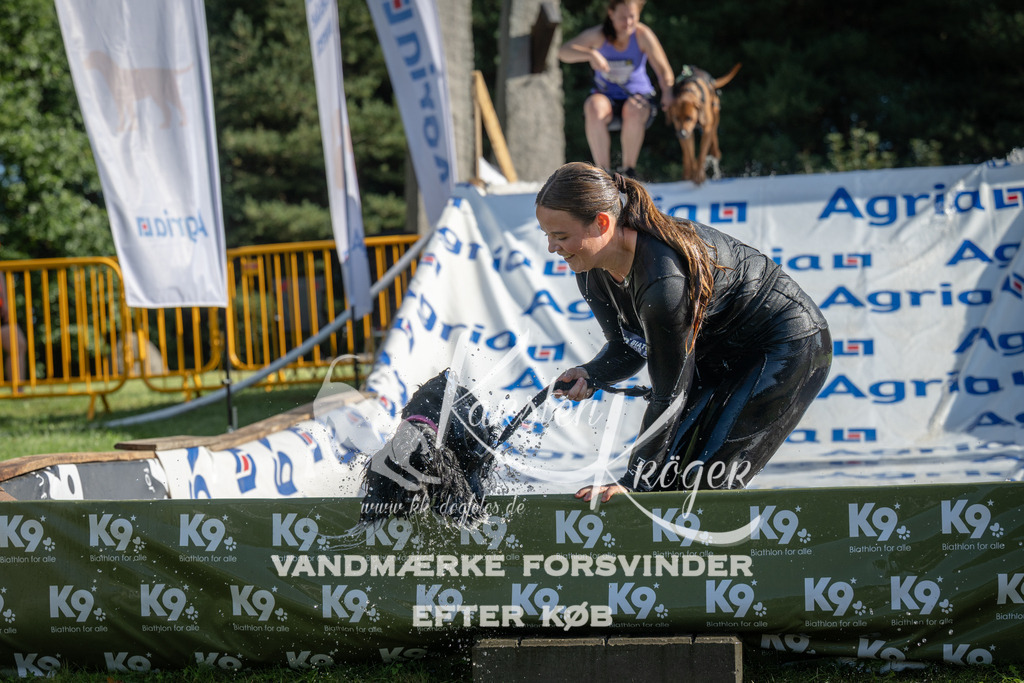 0950_ZZ97237 | kk-dogfotos