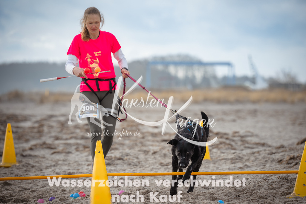 1224_ZZ96450 | kk-dogfotos
