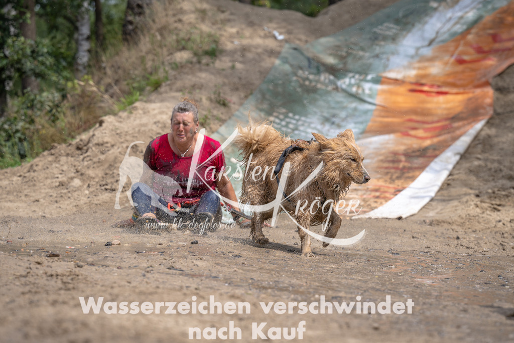 1251_ZZ94404 | kk-dogfotos