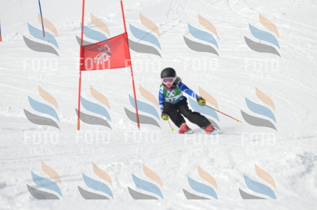 D8561 | holidayphoto