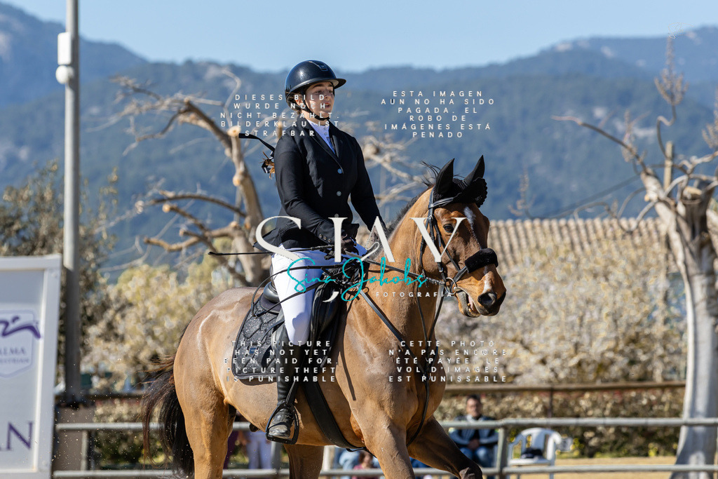 IMG_0288 | s-jay-photography - Realisiert mit Pictrs.com