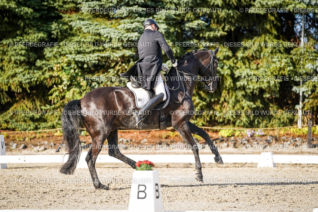 DSC00829 | Pferdegrafie