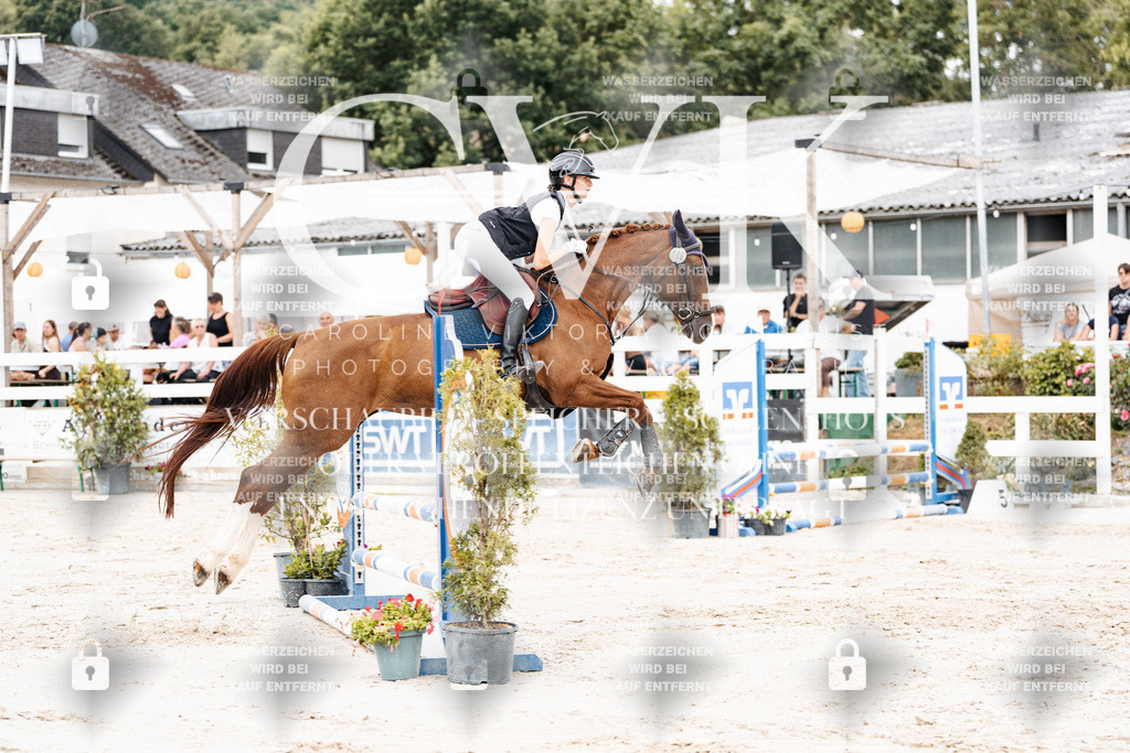 CK908155 | Turnierfotografie Pferdefotografie Trier Rheinland-Pfalz Pferdesport Reitsport Tierfotografie Sportfotografie Pferdevideo Pferdevideografie Equestrianvideography equestrianphotography  - Realisiert mit Pictrs.com