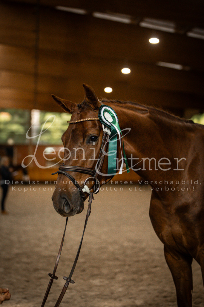 2Schritt00047 | Leoni Ertmer Photography - Realisiert mit Pictrs.com