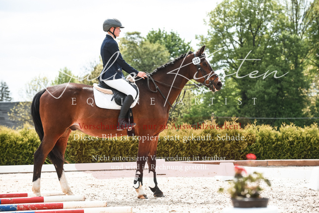 20230518_JK-Röhrsdorf-10-101 | Pferde- und Turnierfotografie in Westsachsen. Pferdeportraits, Auftragszeichnungen und intuitive Kunst.