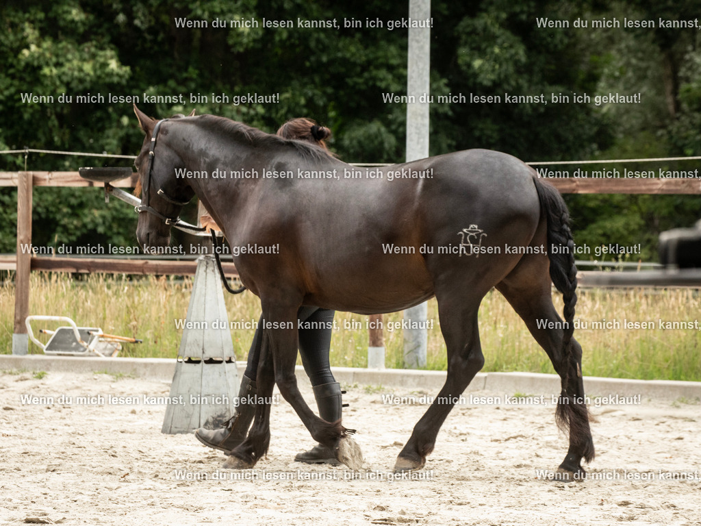 598A6242 | photographylinaismer - Realisiert mit Pictrs.com