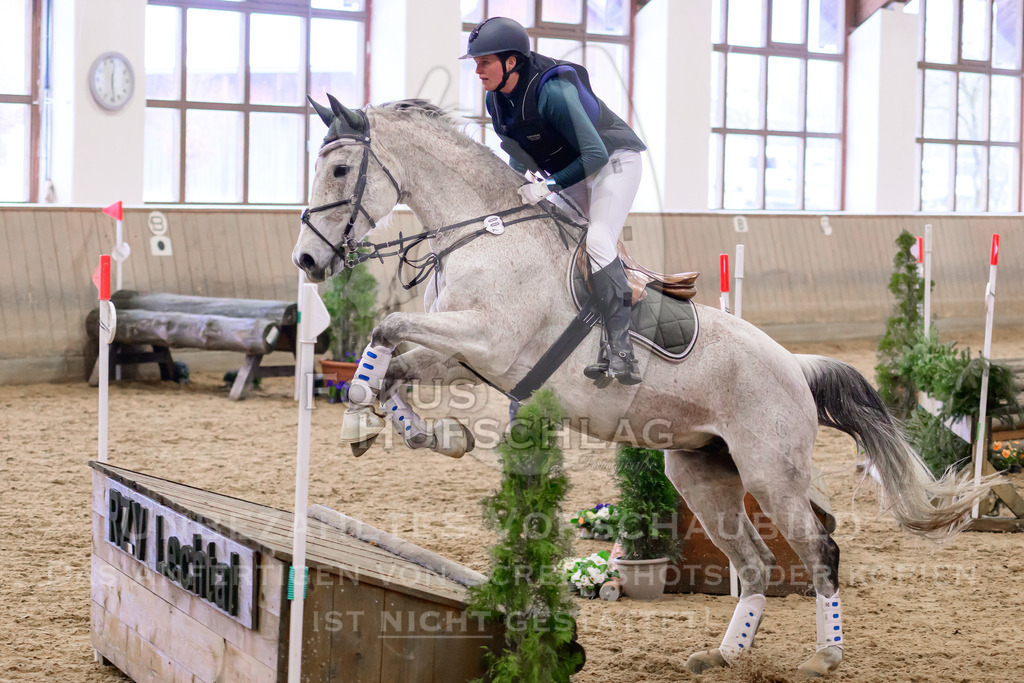 29032026-Schwaiganger-Prfg03-1-0284 | Fokus Hufschlag Fotografie - Realisiert mit Pictrs.com