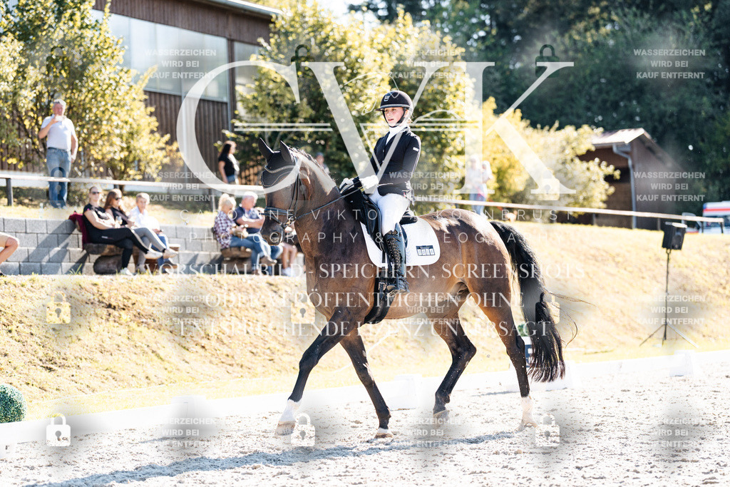 CK905960 | Turnierfotografie Pferdefotografie Trier Rheinland-Pfalz Pferdesport Reitsport Tierfotografie Sportfotografie Pferdevideo Pferdevideografie Equestrianvideography equestrianphotography  - Realisiert mit Pictrs.com