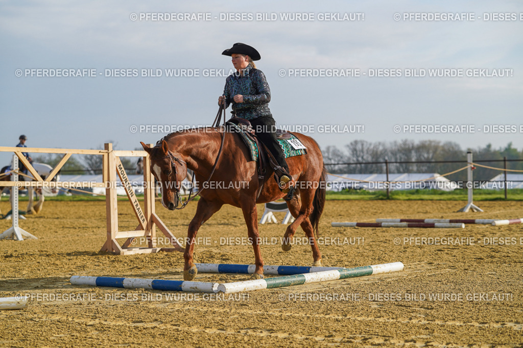 DSC00608 | Pferdegrafie