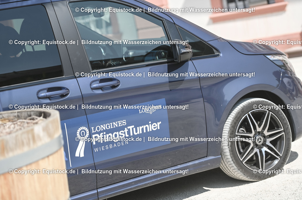 D78_2887 | equistock