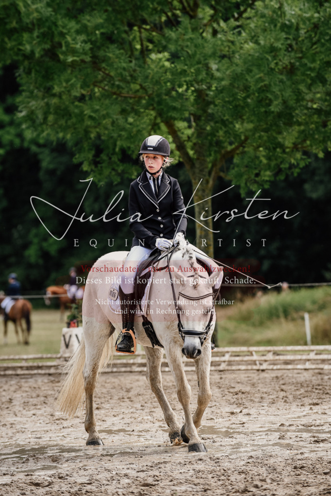 DSC_9484 | Pferde- und Turnierfotografie in Westsachsen. Pferdeportraits, Auftragszeichnungen und intuitive Kunst.