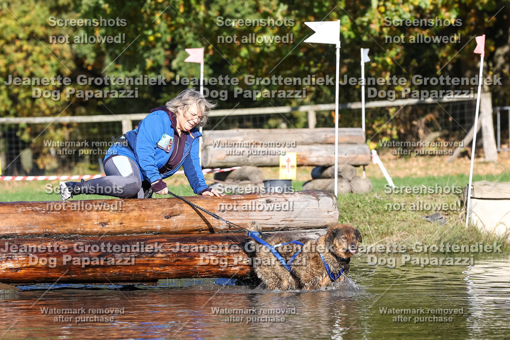 Dog Paparazzi - Strongdog 10-25-8905 | Dog Paparazzi Jeanette Grottendiek Fotografie & Videografie - Realisiert mit Pictrs.com