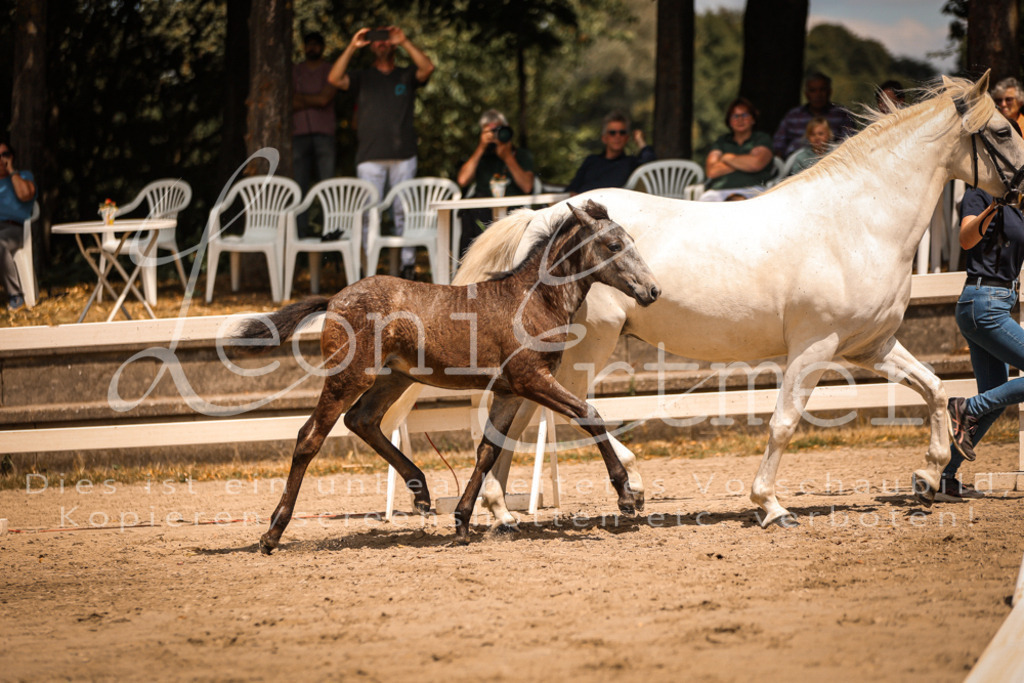 02.DoSR00182 | Leoni Ertmer Photography - Realisiert mit Pictrs.com